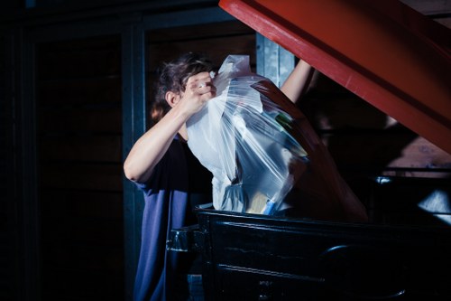 Professional team performing loft clearance